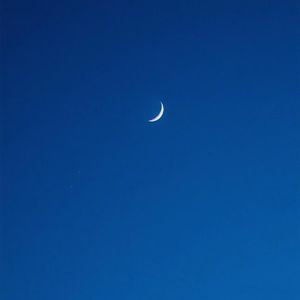 成人性爱动漫同人
